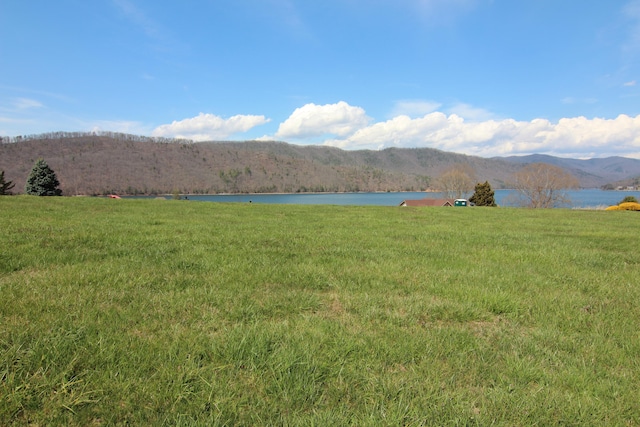 Lot98, Harbor Pointe, Butler TN, 37640 land for sale