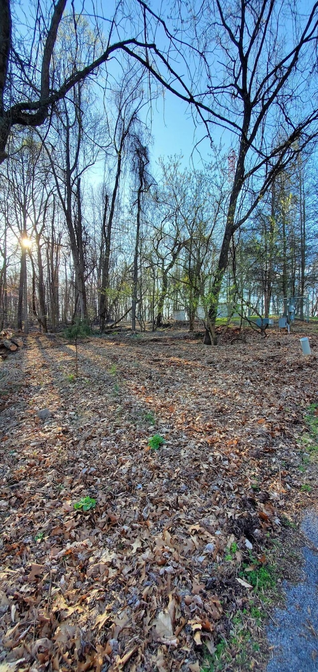 0 Foxfire Ln, Kingsport, TN 37664 - photo 4