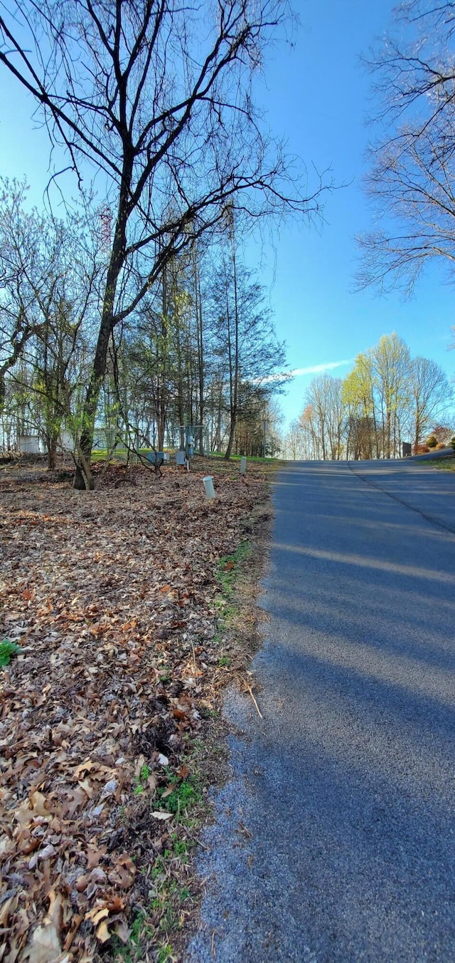 0 Foxfire Ln, Kingsport, TN 37664 - photo 5