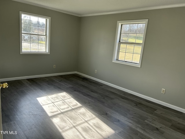 empty room with ornamental molding and dark hardwood / wood-style flooring