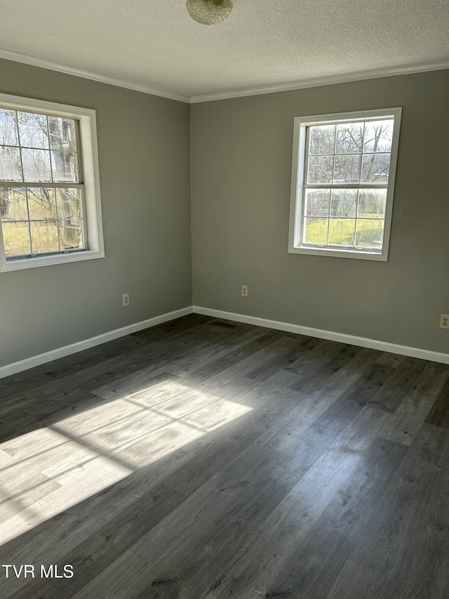 spare room featuring crown molding, dark hardwood / wood-style floors, and a textured ceiling