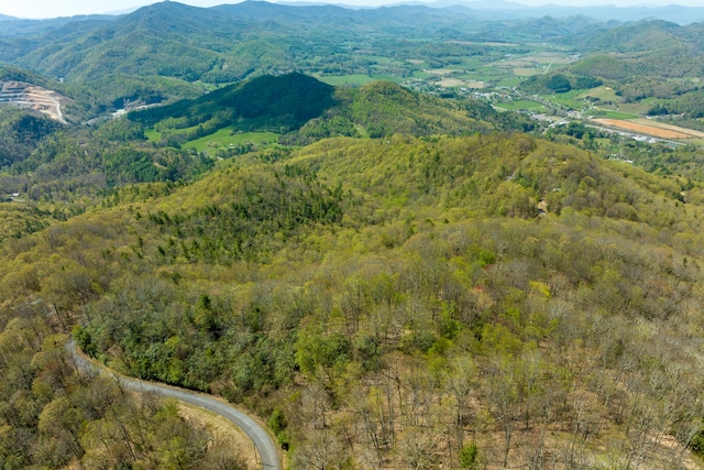 Listing photo 3 for LOT33 Callalantee Dr, Mountain City TN 37683