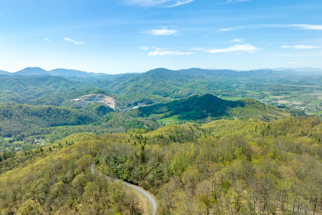 Listing photo 2 for LOT33 Callalantee Dr, Mountain City TN 37683