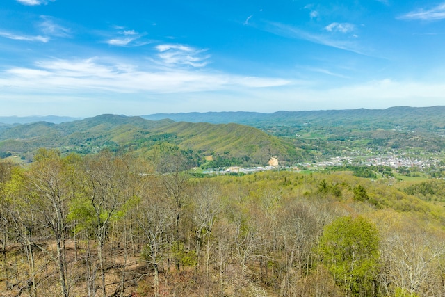 LOT33 Callalantee Dr, Mountain City TN, 37683 land for sale