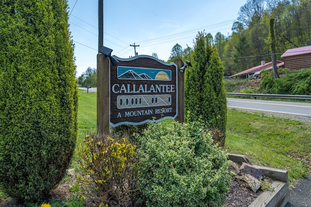 LOT9 Callalantee Dr, Mountain City, TN 37683 - photo 9