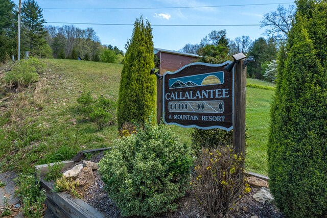 LOT9 Callalantee Dr, Mountain City, TN 37683 - photo 10