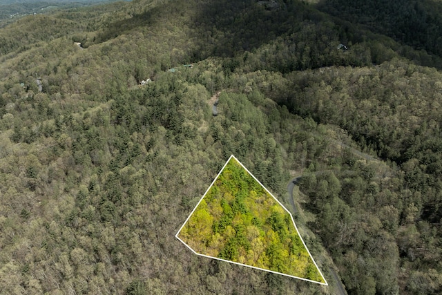 LOT9 Callalantee Dr, Mountain City, TN 37683 - photo 11