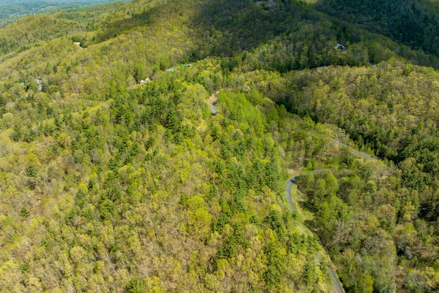 LOT9 Callalantee Dr, Mountain City, TN 37683 - photo 12