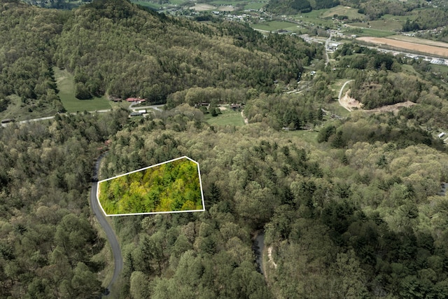 LOT9 Callalantee Dr, Mountain City, TN 37683 - photo 2