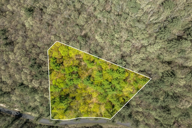 LOT9 Callalantee Dr, Mountain City, TN 37683 - photo 1