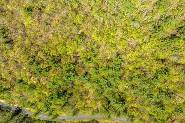 LOT9 Callalantee Dr, Mountain City, TN 37683 - photo 14