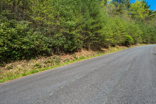 LOT9 Callalantee Dr, Mountain City, TN 37683 - photo 3
