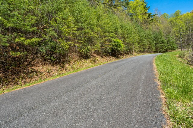 LOT9 Callalantee Dr, Mountain City, TN 37683 - photo 15