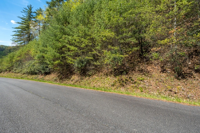 LOT9 Callalantee Dr, Mountain City TN, 37683 land for sale