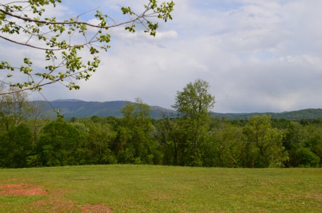 LOT22R Golf Villa Dr, Greeneville, TN 37743 - photo 4