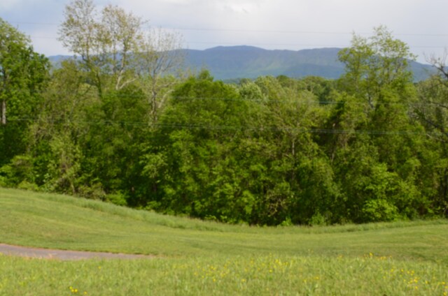 LOT22R Golf Villa Dr, Greeneville, TN 37743 - photo 5