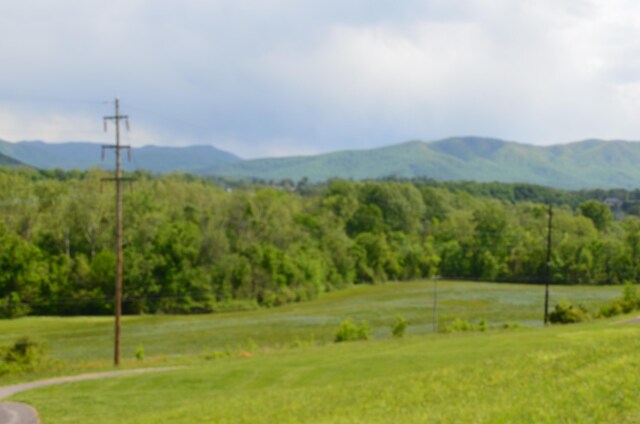 LOT22R Golf Villa Dr, Greeneville, TN 37743 - photo 6