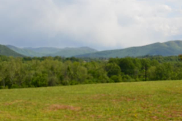 LOT22R Golf Villa Dr, Greeneville, TN 37743 - photo 7