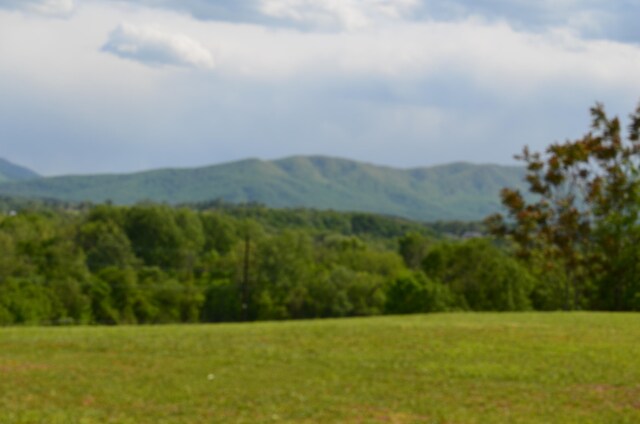 LOT22R Golf Villa Dr, Greeneville, TN 37743 - photo 8