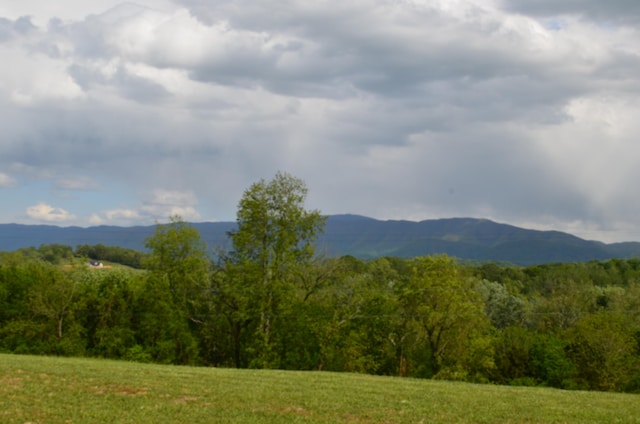 LOT22R Golf Villa Dr, Greeneville, TN 37743 - photo 10