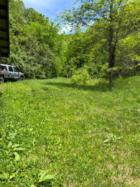 1144 Fairview Rd, Duffield, VA 24244
