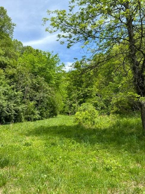 1144 Fairview Rd, Duffield, VA 24244