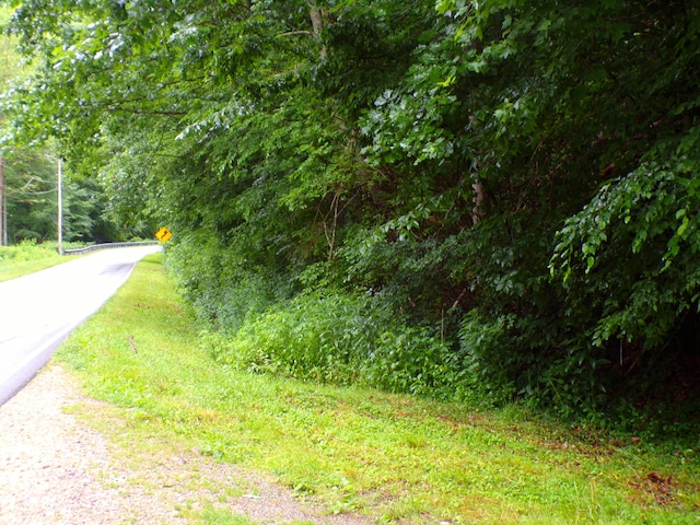 Listing photo 2 for TBD Tiger Creek Rd, Roan Mountain TN 37687