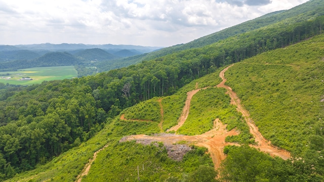 bird's eye view with a mountain view