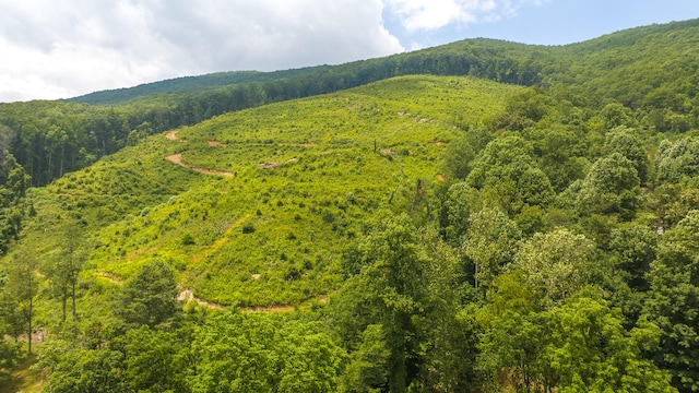 view of mountain feature