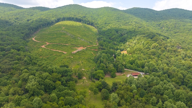 view of mountain feature