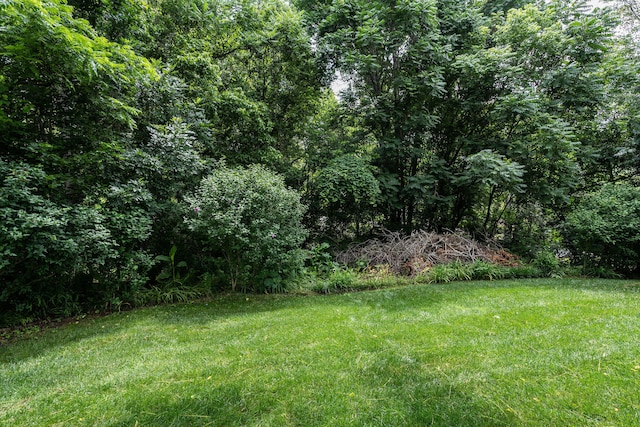 112 Leslie Ct, Kingsport, TN 37663 - photo 17