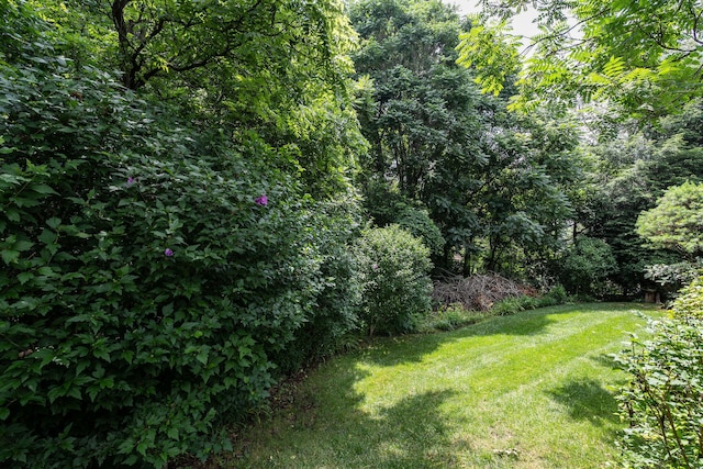 112 Leslie Ct, Kingsport, TN 37663 - photo 18