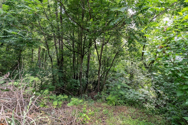 112 Leslie Ct, Kingsport, TN 37663 - photo 20