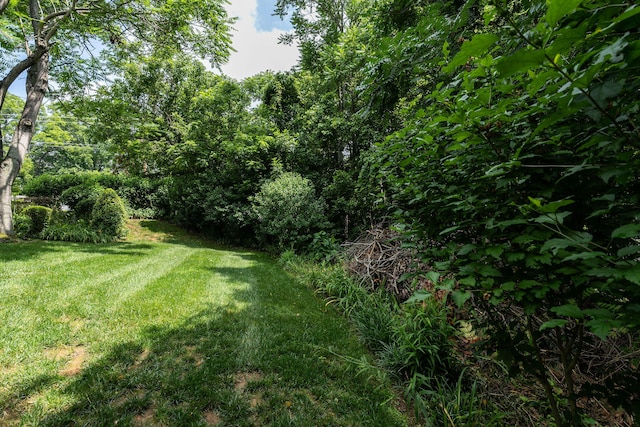 112 Leslie Ct, Kingsport, TN 37663 - photo 21