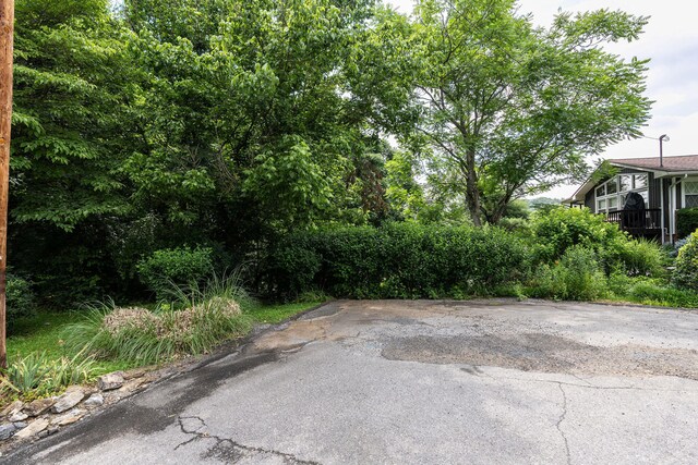 112 Leslie Ct, Kingsport, TN 37663 - photo 23