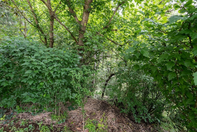 112 Leslie Ct, Kingsport, TN 37663 - photo 24