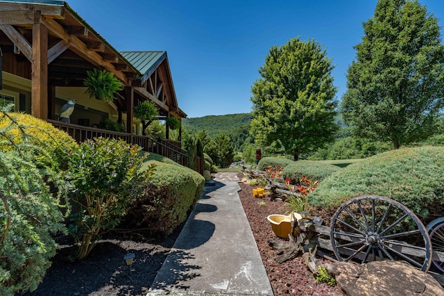 view of yard featuring ceiling fan