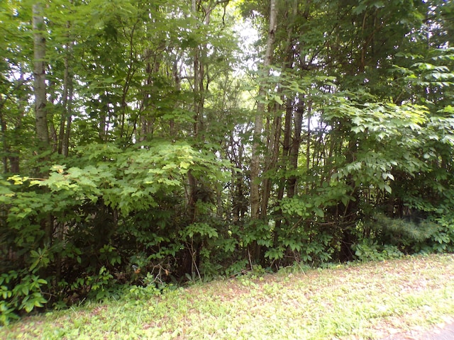 000 Callalantee Dr, Mountain City TN, 37683 land for sale