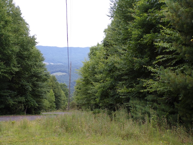 000 Callalantee Dr, Mountain City, TN 37683 - photo 4