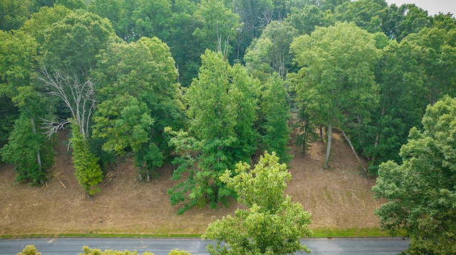 LOT37 Chimney Top Ln, Chuckey, TN 37641