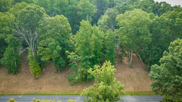 LOT37 Chimney Top Ln, Chuckey TN, 37641 land for sale