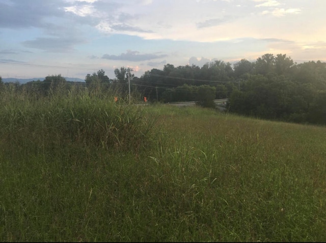 Listing photo 3 for TBD Country Village Dr, Limestone TN 37681