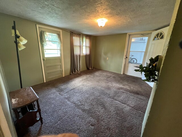 spare room featuring carpet and a textured ceiling