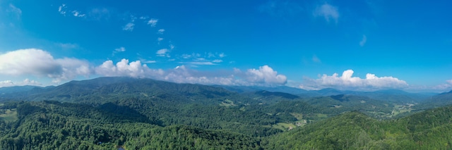 view of property view of mountains