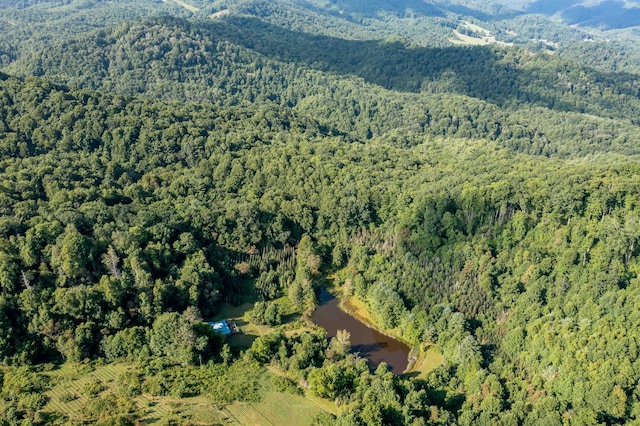 view of bird's eye view