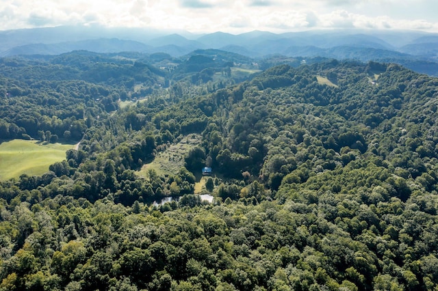 view of mountain view