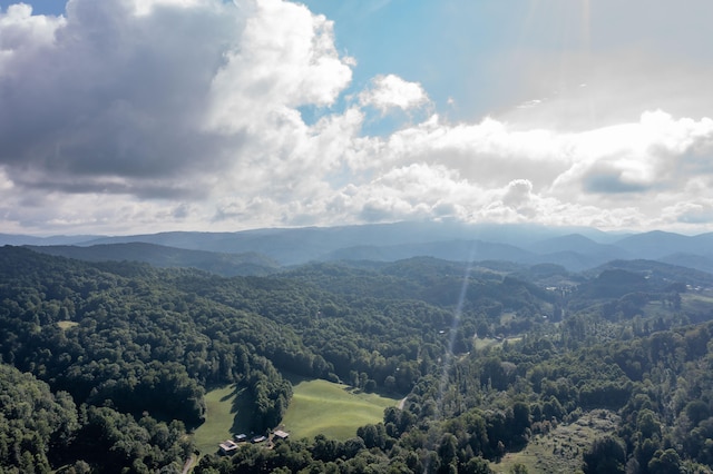 view of mountain feature