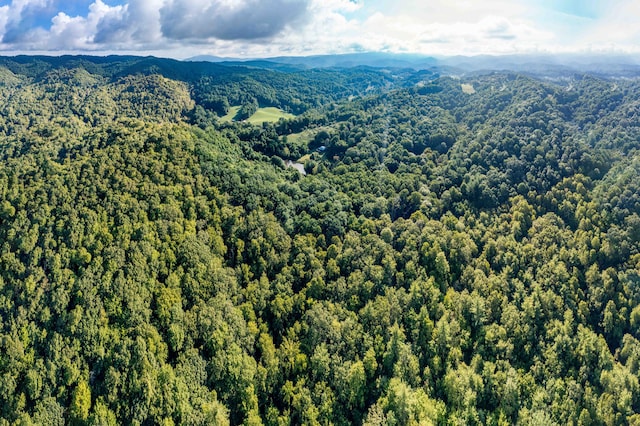 aerial view featuring a mountain view