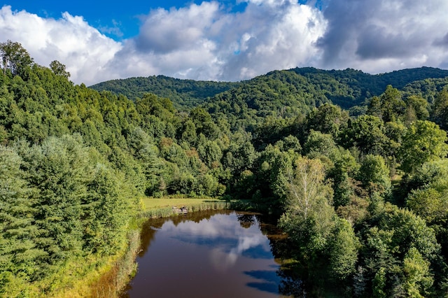 birds eye view of property with a water and mountain view