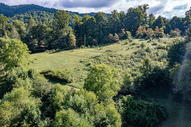 view of bird's eye view